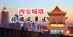 夜夜操女人屄中国陕西-西安城墙旅游风景区